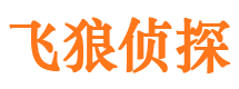 武定市调查公司